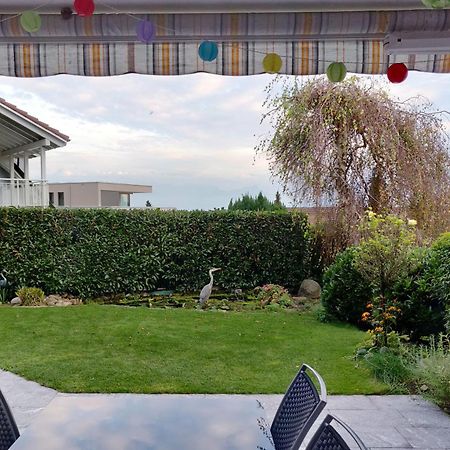 Hillside Homestay Near Luzern By Menbergs Harmony Homestay Hildisrieden المظهر الخارجي الصورة