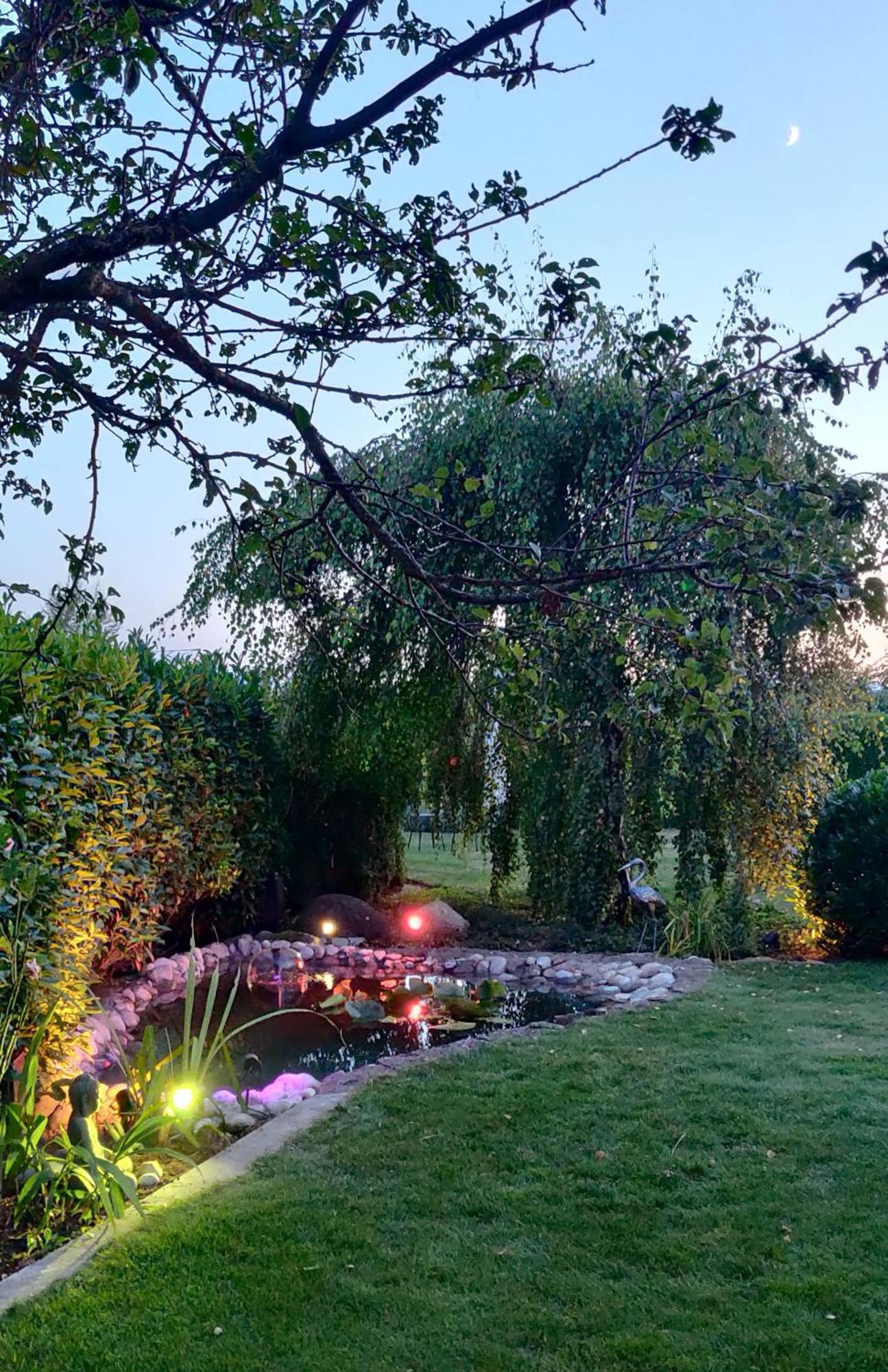Hillside Homestay Near Luzern By Menbergs Harmony Homestay Hildisrieden المظهر الخارجي الصورة